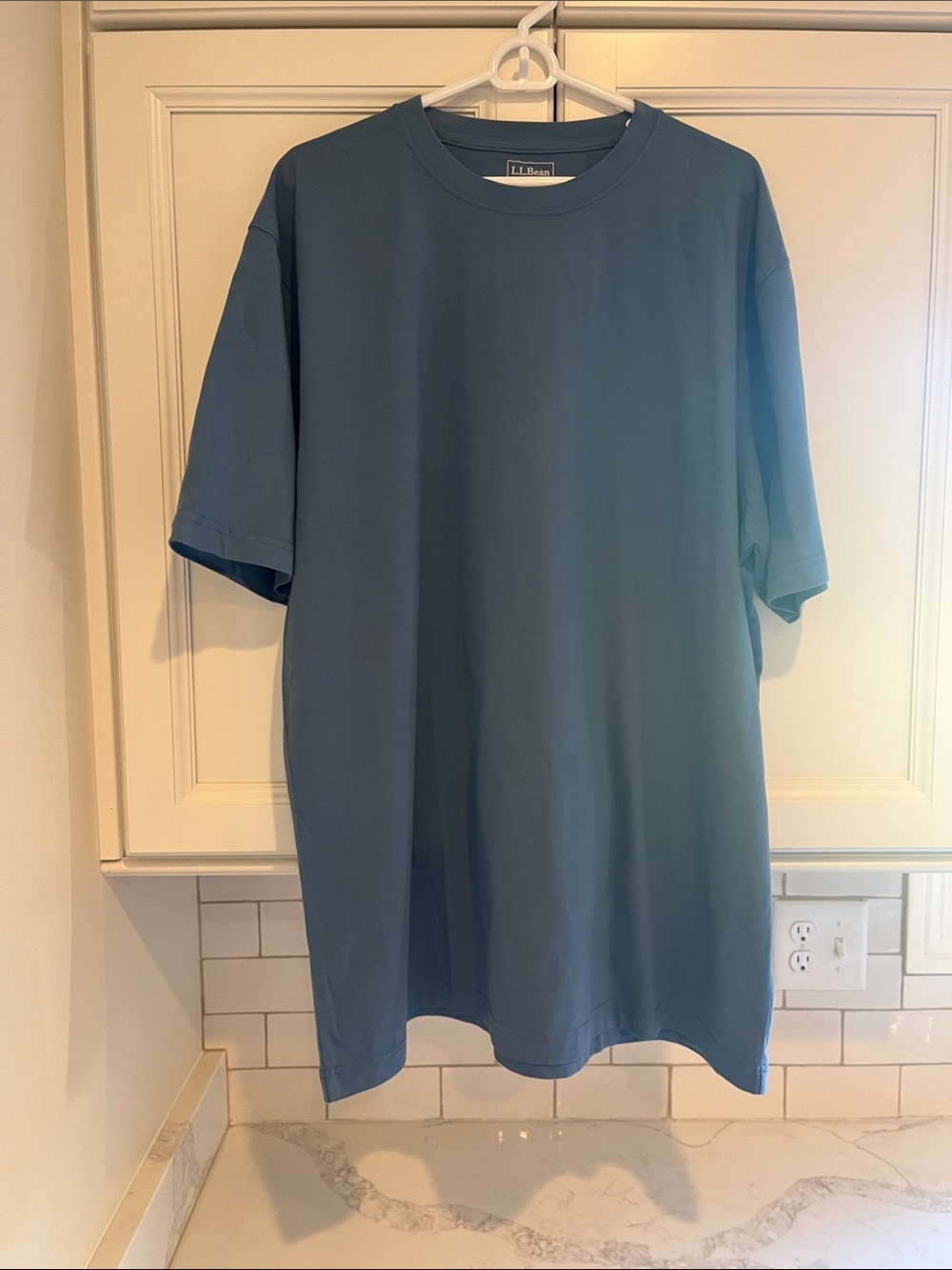 L.L. Bean Men's Blue Unshrinkable T-Shirt